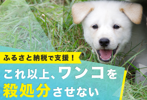 広島県神石高原町とトラストバンク ふるさと納税を活用して 犬の殺処分ゼロ を目指す事業を開始 株式会社トラストバンクのプレスリリース