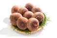 島根県奥出雲町とふるさとチョイス、寄付へのお礼の品として奥出雲町のジャンボ椎茸「雲太」を限定掲載