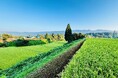 長野県栄村、サヱグサ&グリーン、ふるさとチョイスが三者協働、栄村・野田沢集落のコシヒカリをふるさとチョイス限定で提供