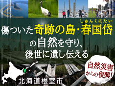 D26811 65 294966 0