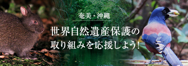 世界自然遺産に登録された奄美・沖縄の7自治体とふるさとチョイスが、ふるさと納税制度を活用した、広域連携ガバメントクラウドファンディング(R)で、奄美・沖縄の自然環境保護のため2750万円の資金調達を開始