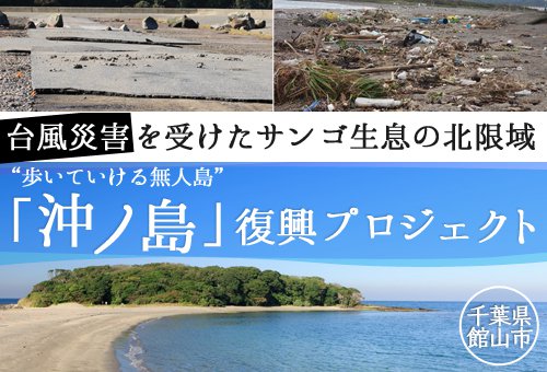 千葉県館山市とトラストバンク、ふるさと納税を活用した新事業を開始｜株式会社トラストバンクのプレスリリース