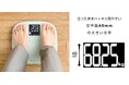 立ったままで測定結果がはっきり見やすい！40mmの大きな文字表示を採用した体組成計を新発売