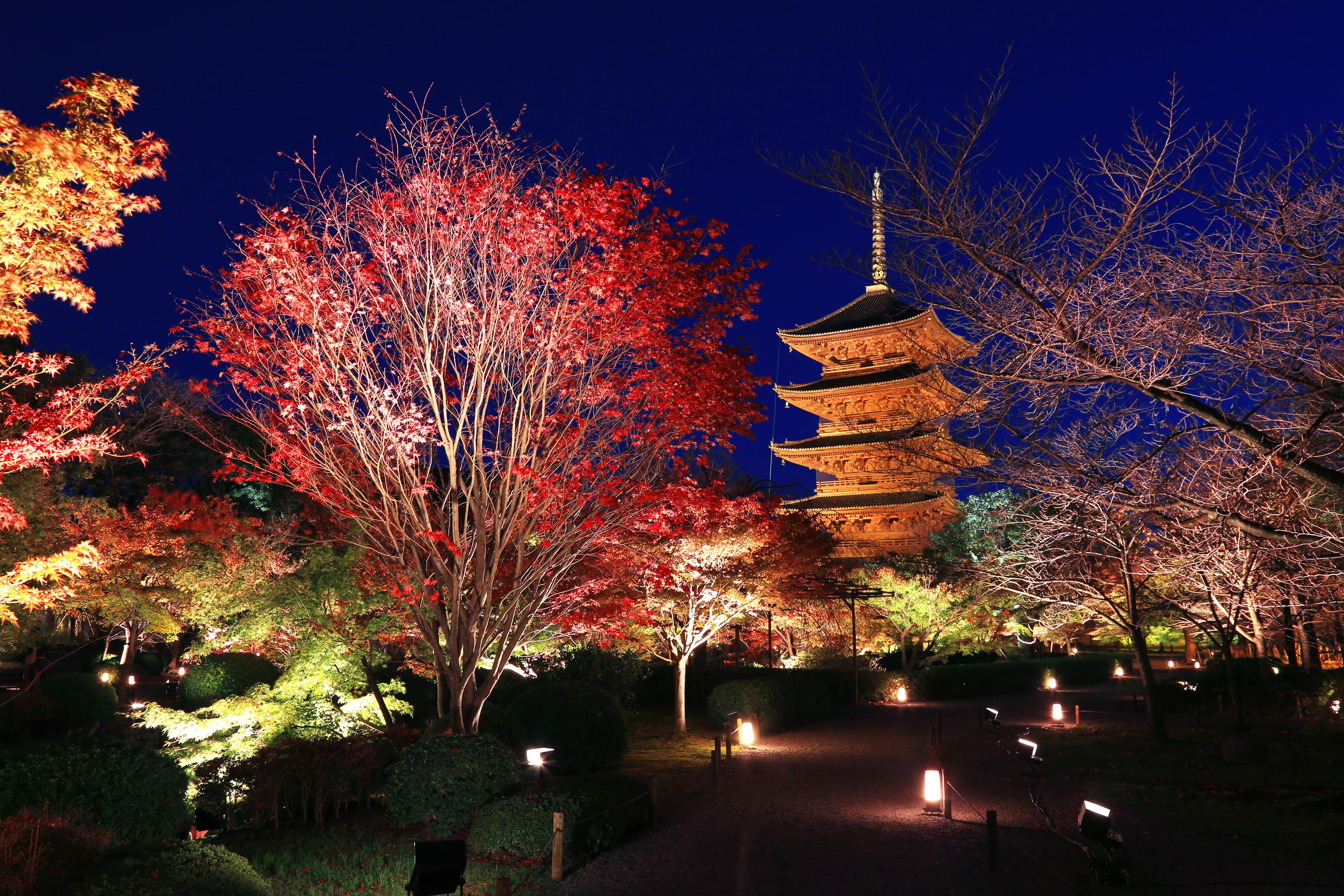 色彩豊かに紅葉する京の秋の魅力を体感 そうだ 京都 行こう 22年秋キャンペーンを10月1日 土 12月11日 日 で開催 東海旅客鉄道株式会社のプレスリリース