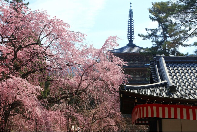 醍醐寺