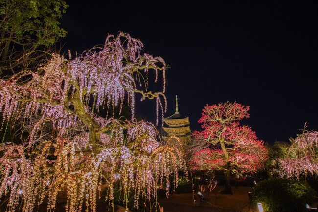 東寺