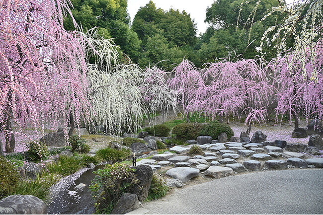 城南宮神苑