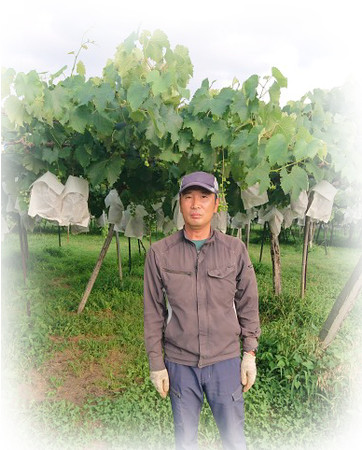長野県北信地区でナガノパープルを栽培する農家さん