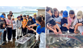 【神奈川県初】海洋学習プロジェクト「うみのこ教室」川崎市立小学校を対象にプログラムを実施　漁港で水産流通や海の仕事を学ぶ