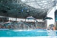 『ファミリーの思い出応援プロジェクト』！「アドベンチャーワールド」1日入園券を5組10名様にプレゼント！