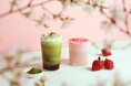 【猿田彦珈琲】春限定ドリンク第二弾!桜を感じる「桜いちごフロラッテ」「桜抹茶あずきフラッペ」3/25発売