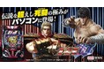 「e北斗の拳10」がぱちんこ・パチスロオンラインゲーム「777TOWN.net」に登場!