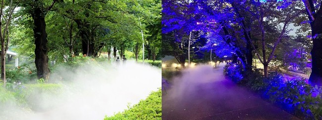 Staytokyo 夏の散歩 にひとときの涼 光と霧の散歩道 ミッドタウン ガーデンで 涼しげな光と薄霧が漂う環境演出を実施 東京ミッドタウンマネジメント株式会社のプレスリリース