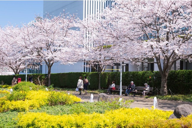 華やかな春時間を楽しむグルメや展示 Midtown Blossom 21 開催中 東京ミッドタウンマネジメント株式会社のプレスリリース