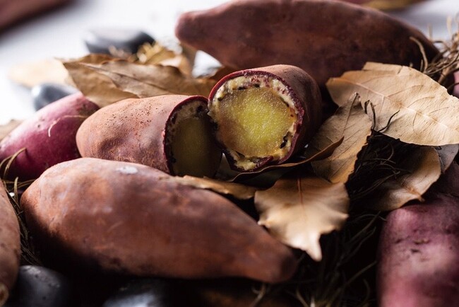 ※写真はイメージです。