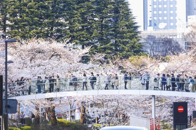 昨年の様子