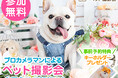 うちの子がモデルに！？全国開催「フォトレコ ペット撮影会」でペットモデル体験＆新フォトグッズ約40商品を追加！