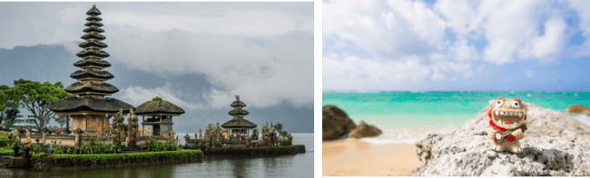 左：バリのイメージ図、右：ハワイのイメージ図