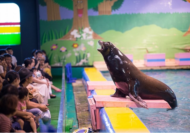 距離感ゼロ体験reboot 水族館 伊勢シーパラダイス発祥の 距離感ゼロのふれあい体験 が 令和2年11月1日から感染症対策を実施の上 再スタートしました 株式会社伊勢夫婦岩パラダイスのプレスリリース