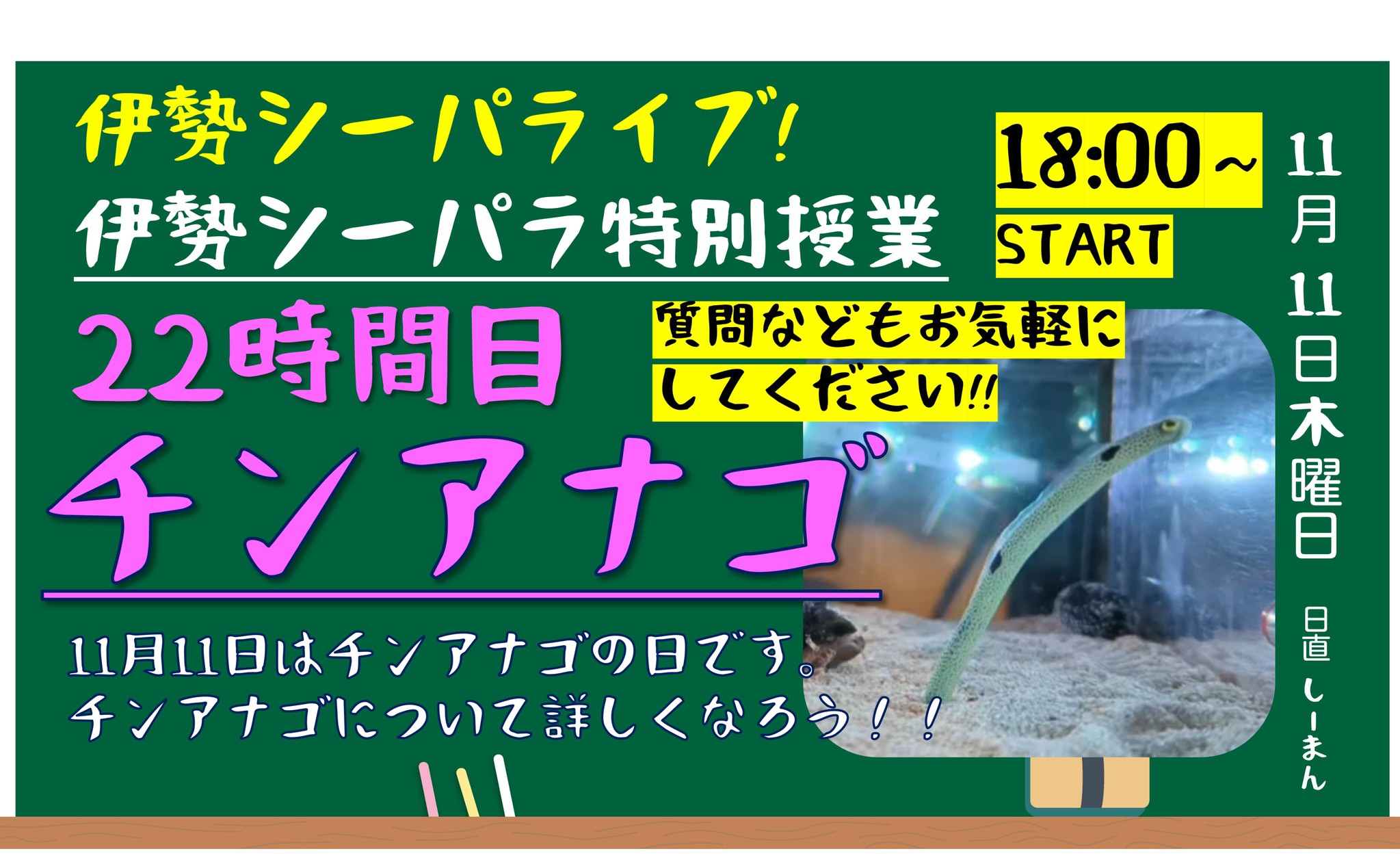 予約販売品】 ちんあなご様専用 ちんあなご様 - fonotecanacional.gob.mx