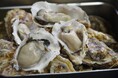 夫婦岩と伊勢湾眺望&美味!! かき小屋が11月1日にプレオープン!