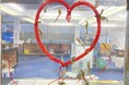 “赤い糸”が繋ぐロマンチックな「超トキメキ♡水槽」2月1日より展示スタート!