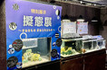 進化の知恵がここに集結!「擬態展〜まねるもの・まねられるもの〜」開催