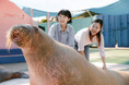 学生必見！夏季期間限定お得な入館キャンペーンを実施
