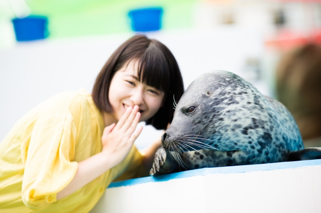 大人気のゴマちゃんとも距離感ゼロでふれあいが出来る。