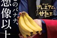 トリンドル瑠奈さん出演【甘熟王ゴールドプレミアムバナナ】のWebCM 「このバナナ、想像以上。」篇を公開