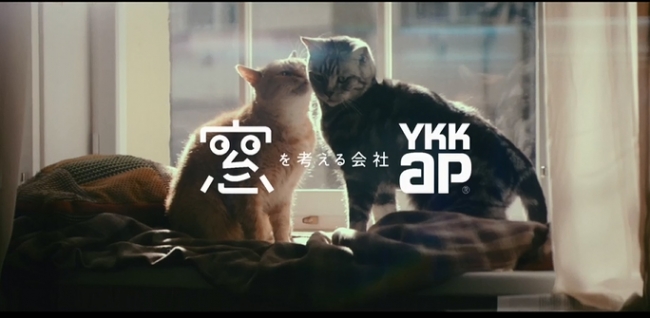 ＹＫＫ ＡＰの企業ＣＭシリーズ『窓と猫の物語』