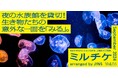 ちょっと特別な「見る」「観る」「視る」へ、JINSが毎月ご招待する「ミルチケ」9月は生き物たちとの急接近で、これまで知らなかった意外な一面を「みる」