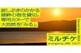 ちょっと特別な「見る」「観る」「視る」へ、JINSが毎月ご招待する「ミルチケ」自分と自然、それだけの場所へ。波しぶきのかかる湖畔の宿を貸切。12月は専用カヌーで大自然を「みる」