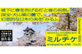 ちょっと特別な「見る」「観る」「視る」へ、JINSが毎月ご招待する「ミルチケ」12月は国宝・犬山城の麓で、幻想的な日本の美を「みる」