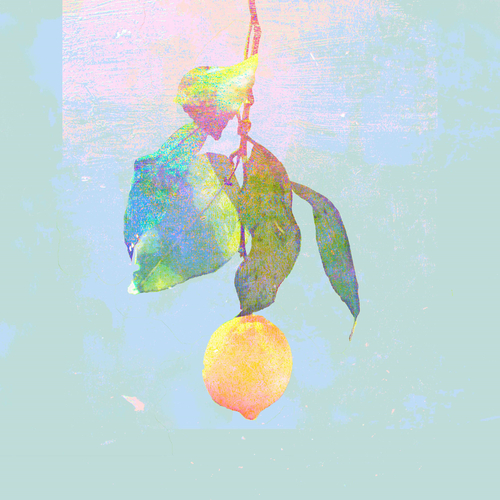 米津玄師「Lemon」がシングル首位に返り咲き！星野源『POP VIRUS』アルバム１位！～レコチョクアワード月間最優秀楽曲賞2018年12月度発表～