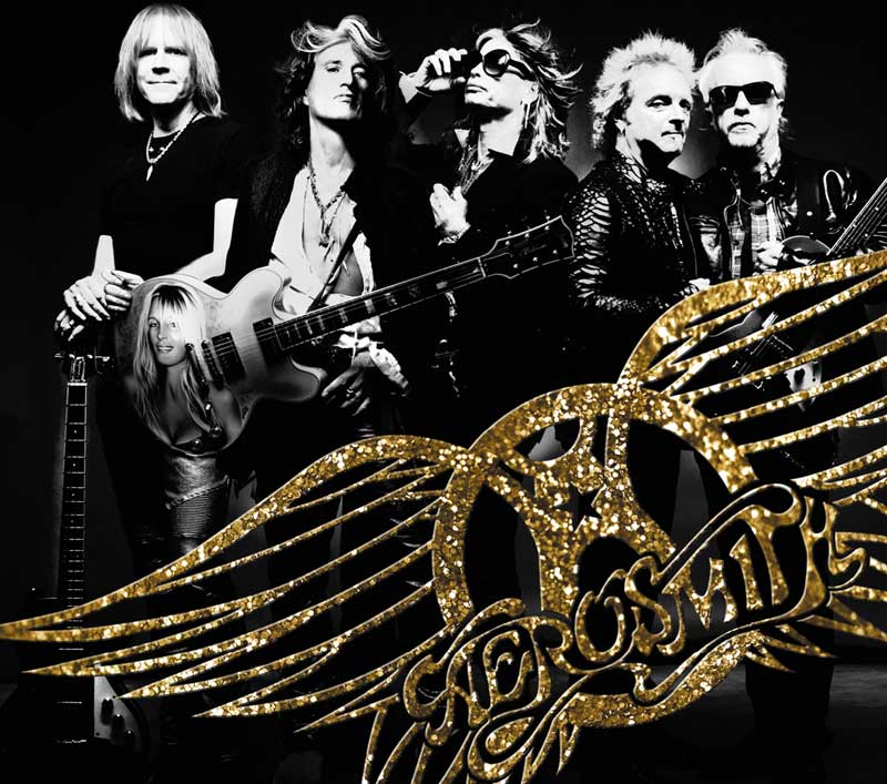 Aerosmith エアロスミス Joe Perry Koi ギターピック-