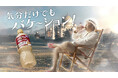 とにかく明るい安村さん出演！「クラフトボス 世界のTEA」新WEB－CM公開。「気分だけでもバケーション」を合言葉に、しんどい6月を明るく乗り切る！