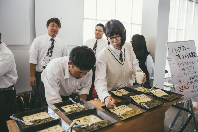 木津高校茶業クラブ｜ハーブティーブレンド体験と紅茶作り