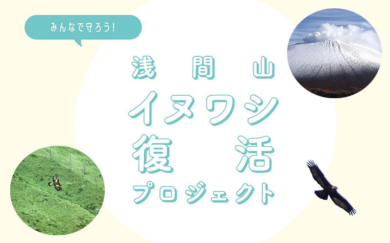 浅間山におけるイヌワシ保護増殖事業実施計画 の策定に協力 Nacs Jのプレスリリース