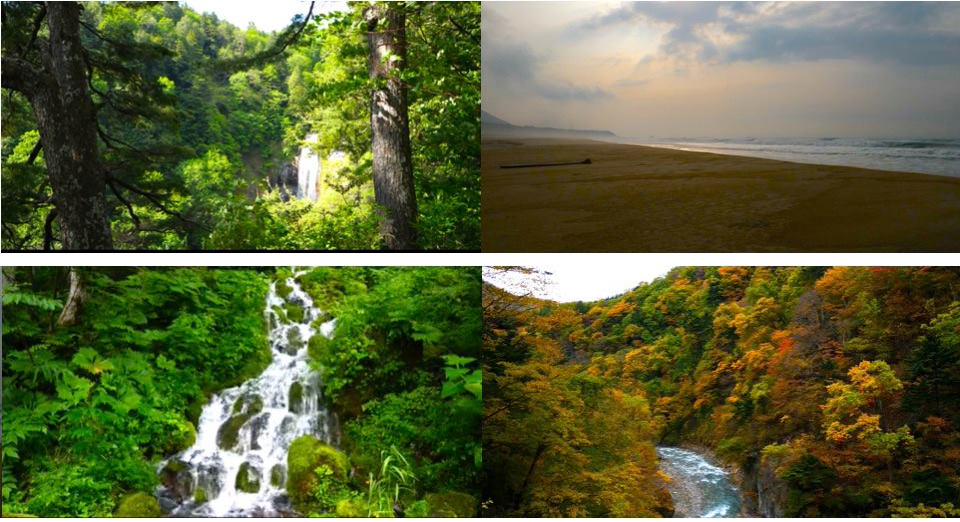 未来に残したい自然 の風景動画を配信 Nacs Jのプレスリリース