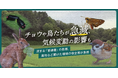 モニタリングサイト1000里地調査2005-2022年度 とりまとめ報告書 「チョウや鳥たちが急減、気候変動の影響も」