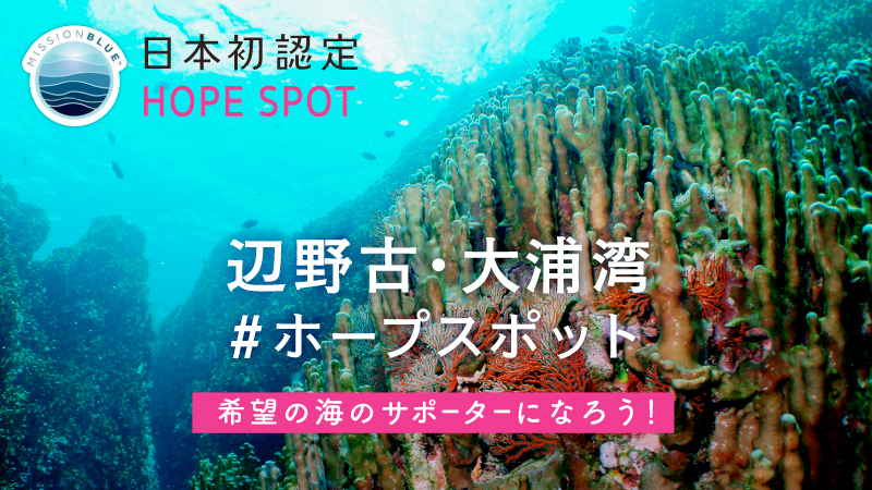 署名募集 南西諸島のジュゴンが暮らす海を守るサポーターになろう Nacs Jのプレスリリース