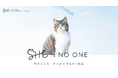 SHElikesで「#在猫ワーク」を叶えよう!CM出演ねこ「にぼし」が、猫の日にSHEの1日イメージキャラクターに就任