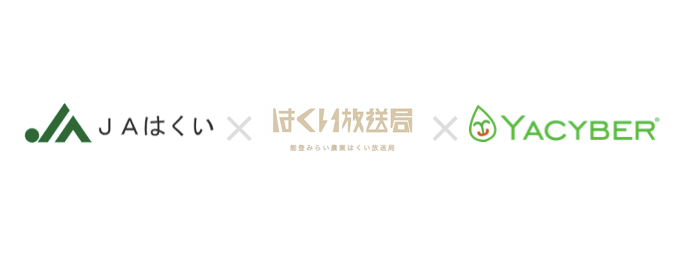 D27568 13 134486 8