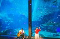 【西日本新聞me】12月22日 マリンワールド海の中道大水槽前からスペシャルライブを無料生配信