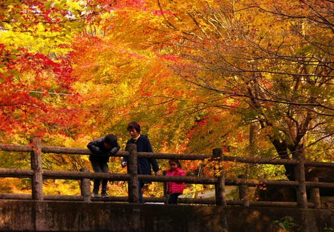 ◇竜門峡の紅葉