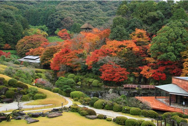 日本庭園 慧洲園の秋景色