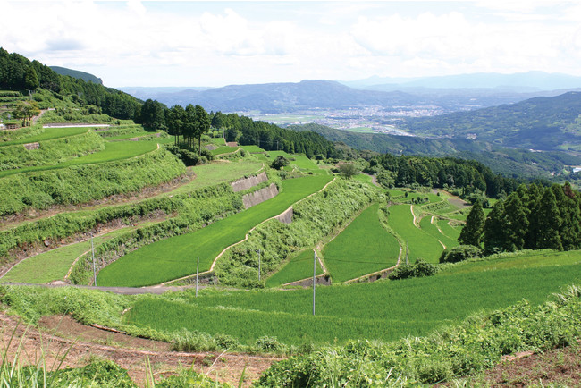 有田町 岳の棚田は日本の棚田百選に認定されている。