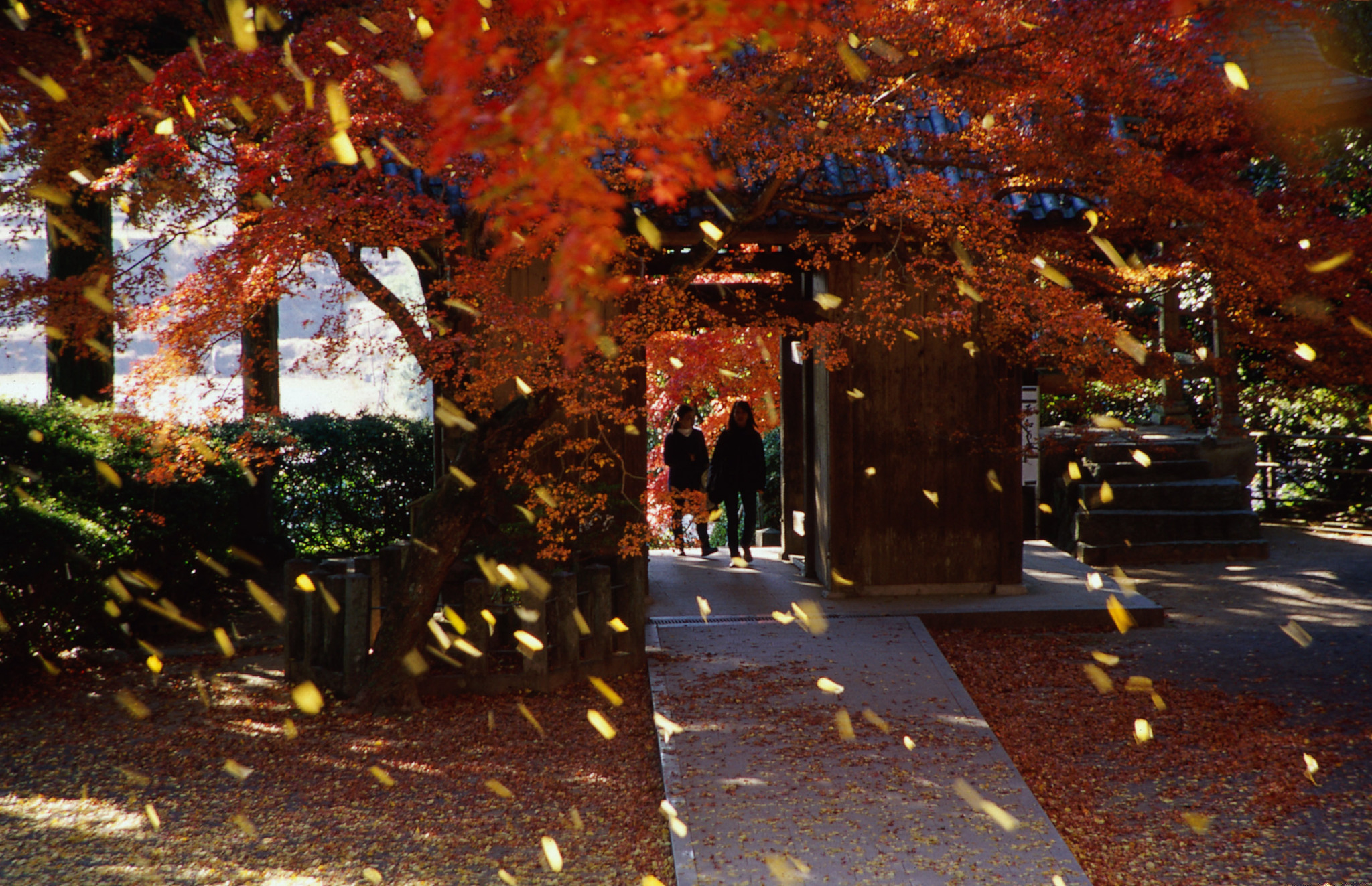 佐賀県基山町 紅葉の名所である大興善寺で きやま門前市 が初開催 一般社団法人 佐賀県観光連盟のプレスリリース