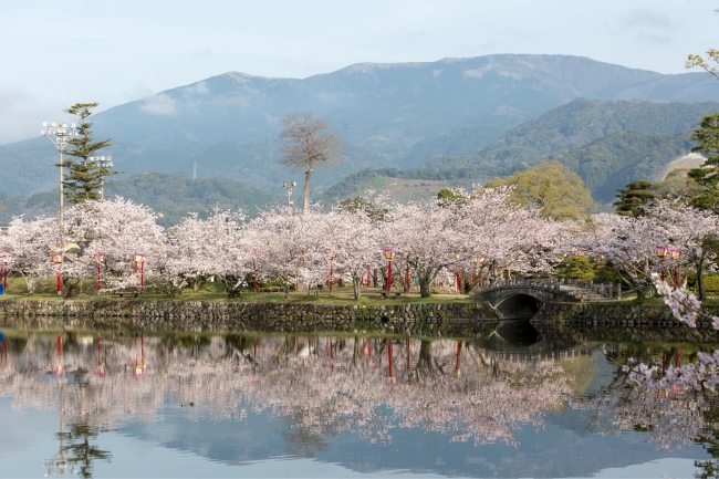 佐賀県小城市　小城公園の桜